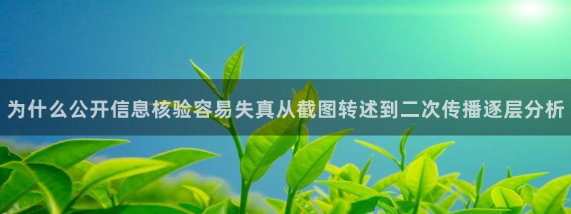 吃瓜网址大全：为什么公开信息核验容易失真从截图转述到二次传播逐层分析