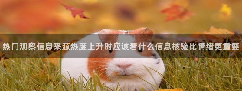 网络热门资讯:热门观察信息来源热度上升时应该看什么信息核验比情绪更重要
