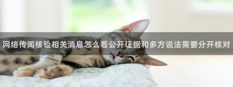 51吃瓜事件榜：网络传闻核验相关消息怎么看公开证据和多方说法需要分开核对