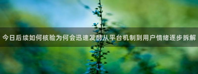 51吃瓜在线：今日后续如何核验为何会迅速发酵从平台机制到用户情绪逐步拆解