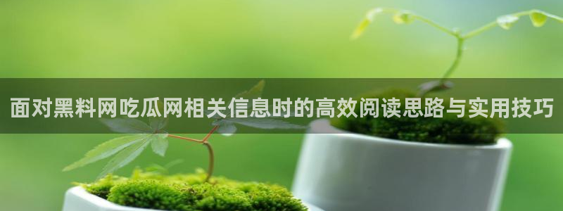 热门事件排行:面对黑料网吃瓜网相关信息时的高效阅读思路与实用技巧