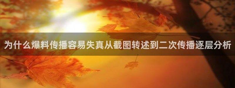 51吃瓜内容大全